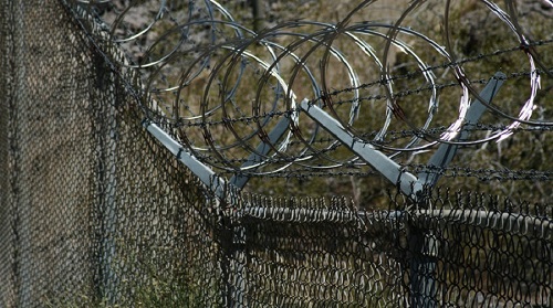 1596694144_1015631059