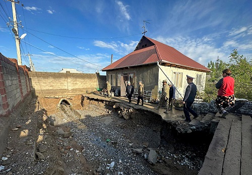 441495998_978548593638596_1772379100689446116_n.730x0