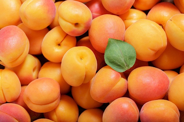 Fresh,Ripe,Apricots,As,Background,,Top,View