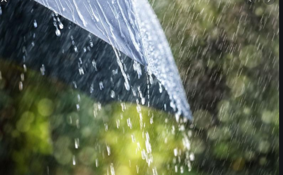 Скриншот-17-08-2020-124013