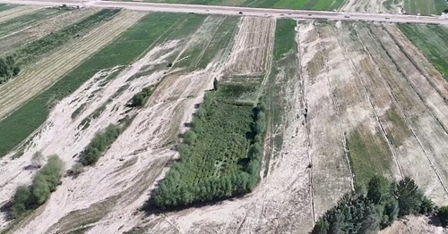 whatsapp_image_2024-08-23_at_06_31_22.730x0 (1)