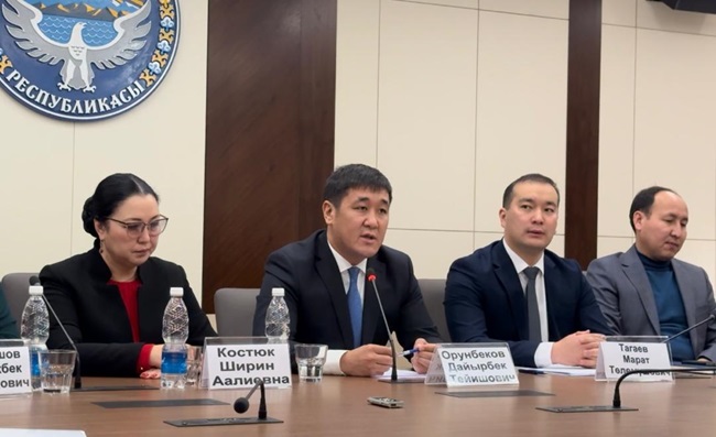 WhatsApp Image 2024-12-09 at 12.50.05