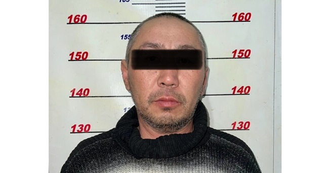 mycollages-3-1200x630