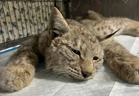 ad2741dd-eeb9-4229-9508-56b68b46cfc0